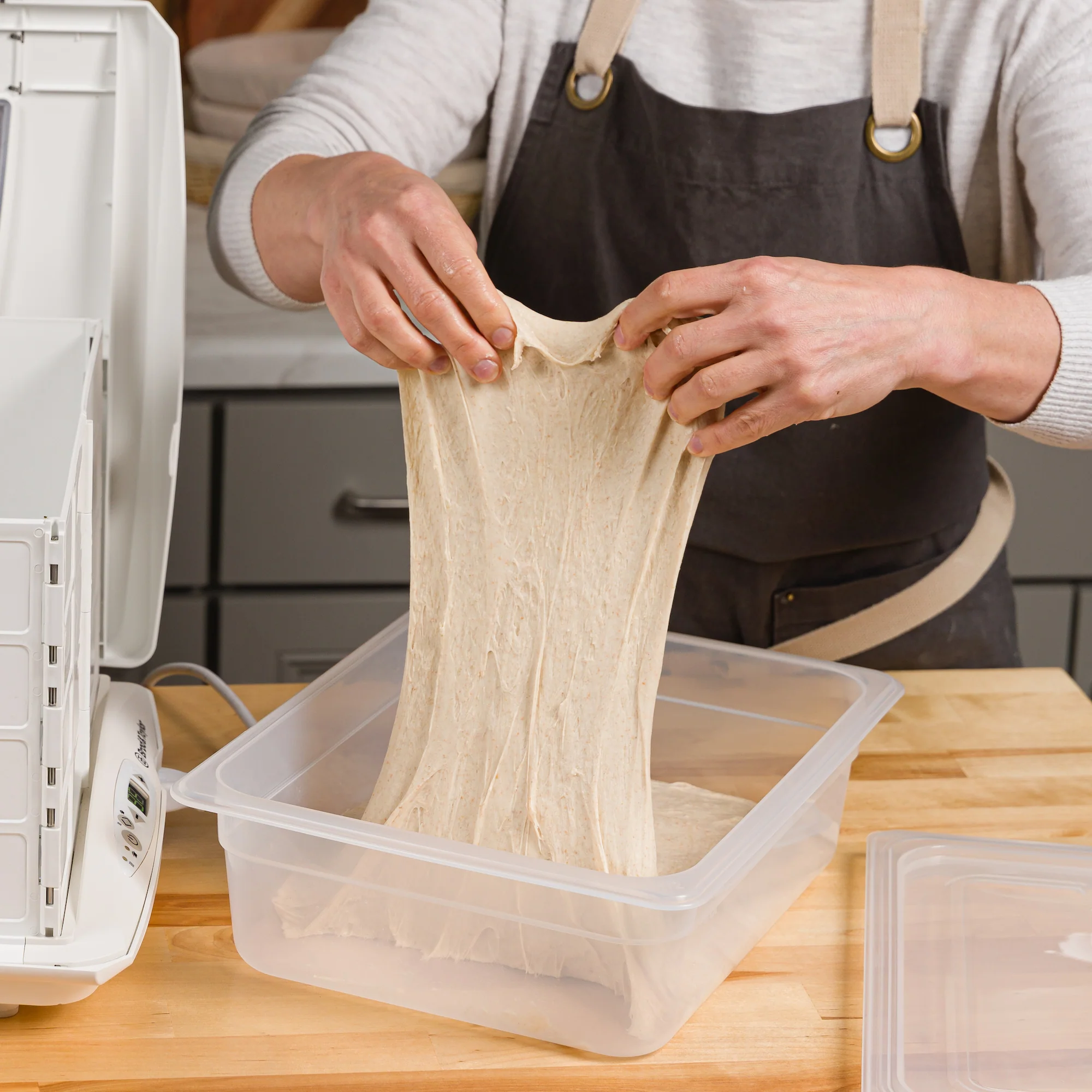 Proofing Container (6L) - Image 3