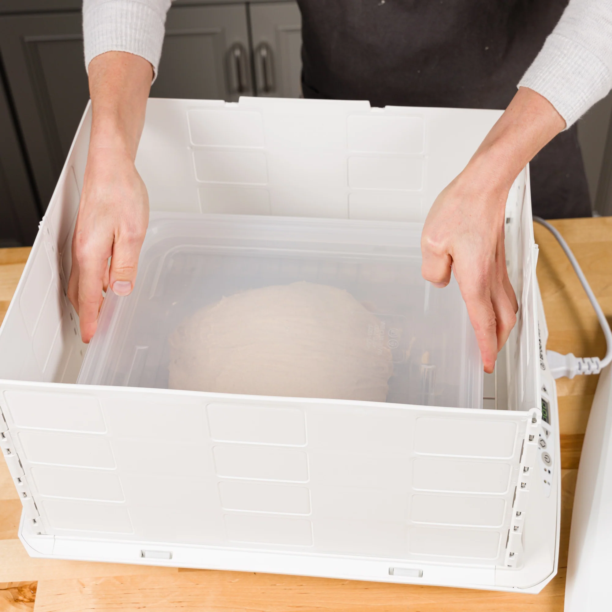 Proofing Container (6L) - Image 5