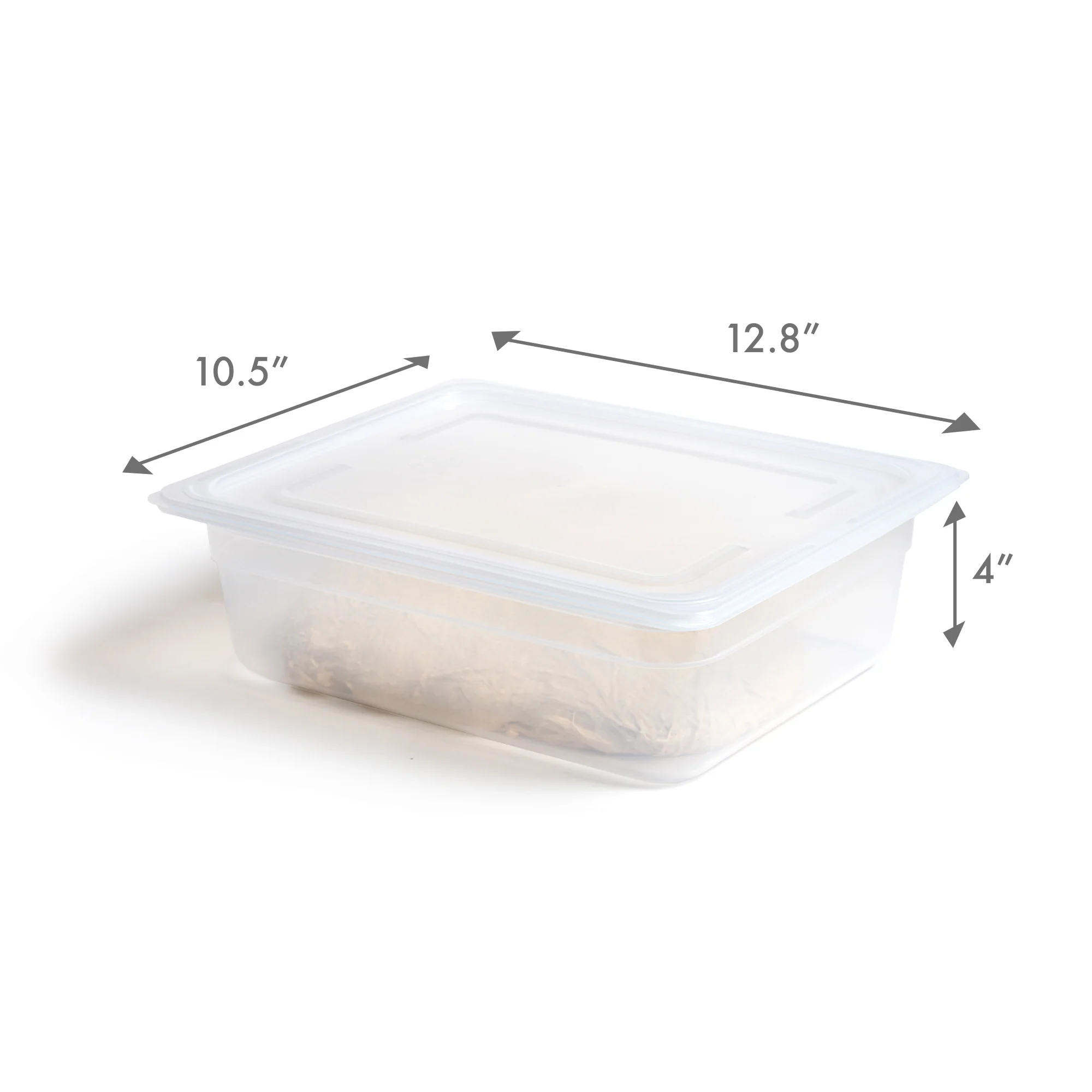 Proofing Container (6L) - Image 6