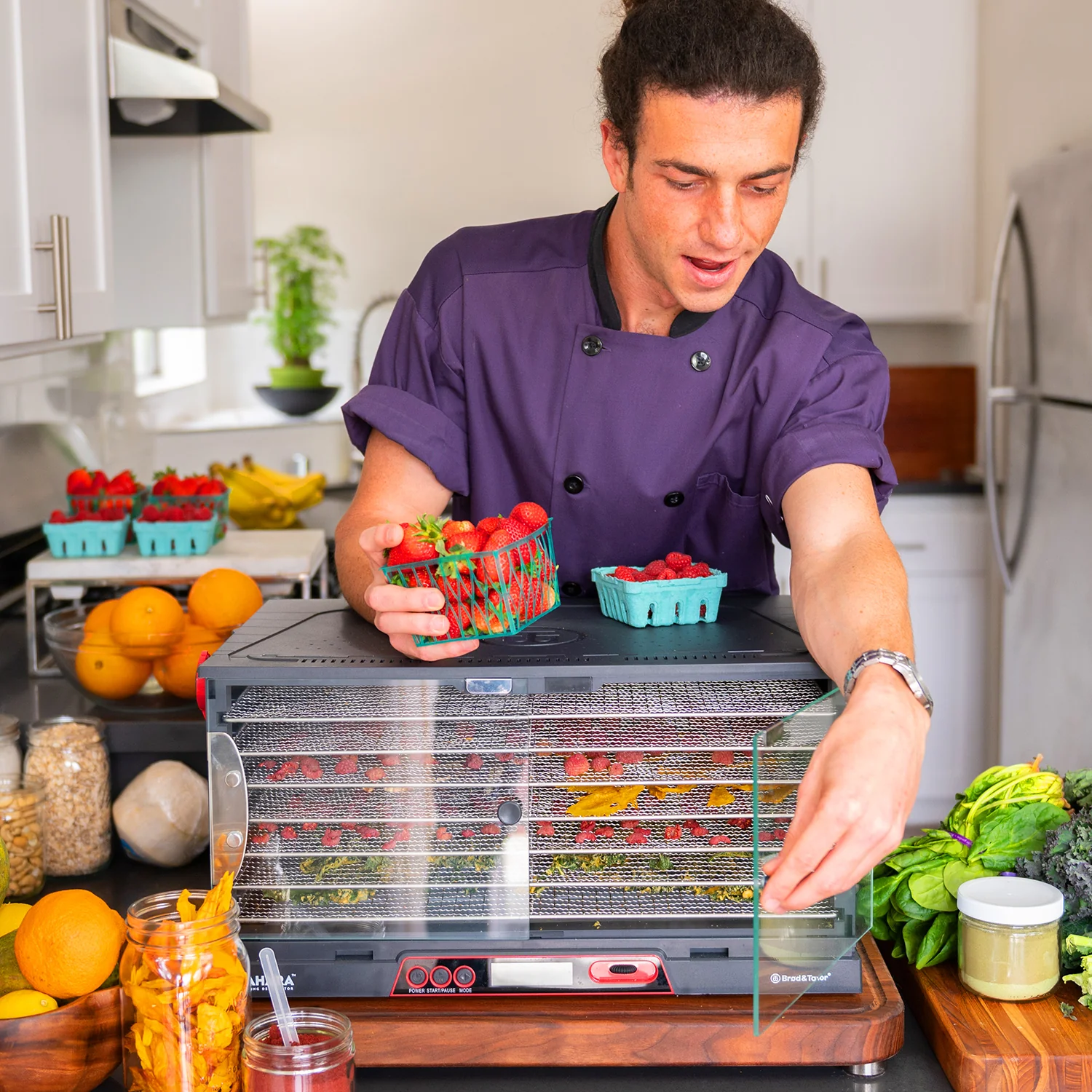 Sahara Folding Dehydrator - Image 3