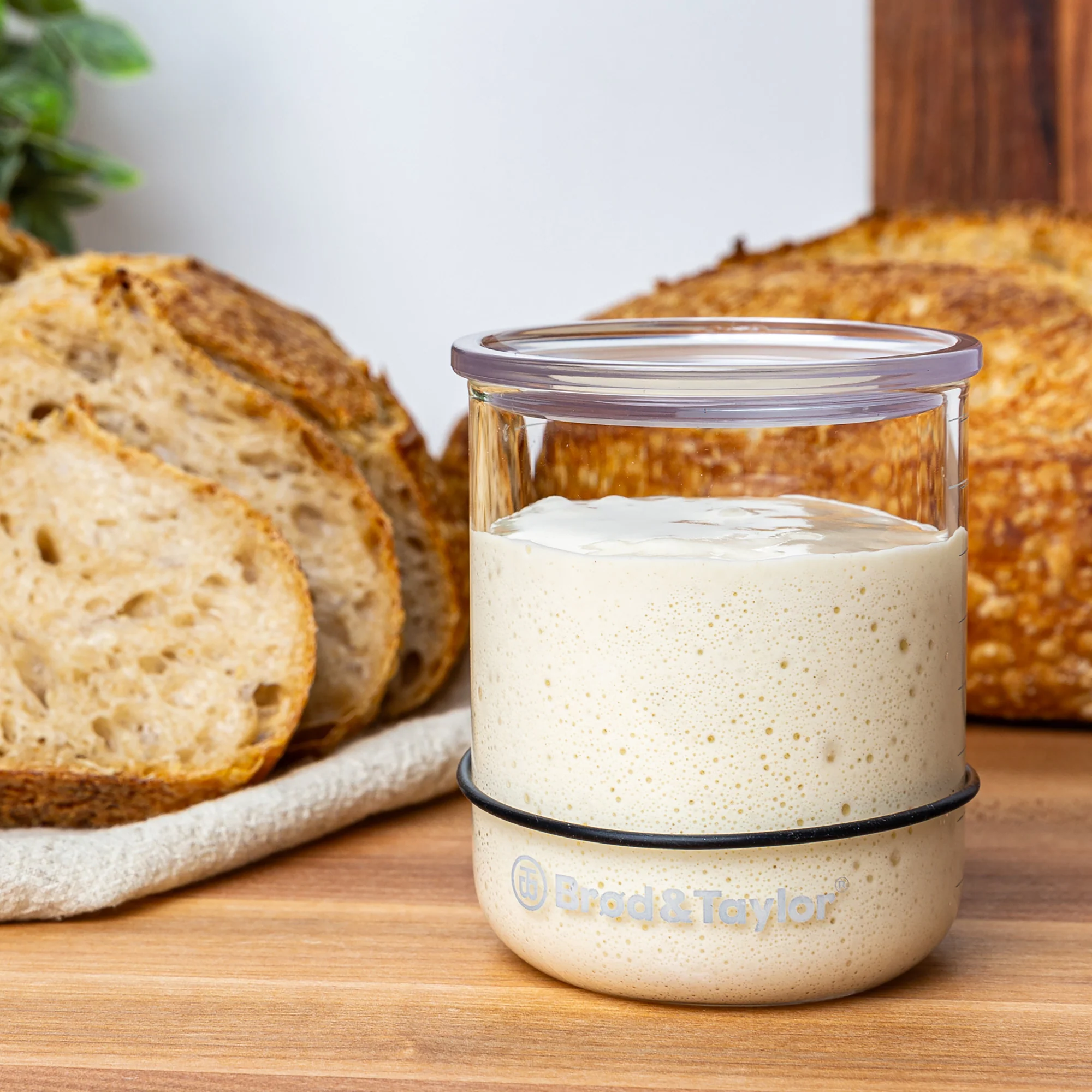 Sourdough Starter Jar - Small - Image 3